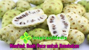 Manfaat Buah Pace untuk Kesehatan