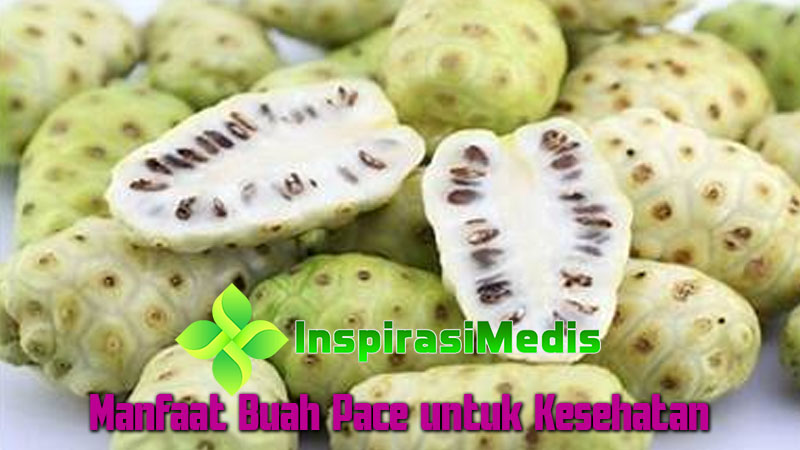 Manfaat Buah Pace untuk Kesehatan