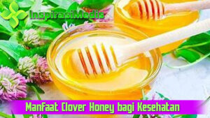 Manfaat Clover Honey bagi Kesehatan