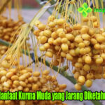 Cara Sehat Menambah Nafsu Makan