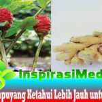 Memahami Efek Samping Obat Kuat Seksual