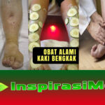 Mengenali Struktur Rangka Manusia