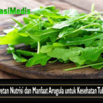 Pilihan Makanan Pembentuk Otot yang Perlu Diketahui