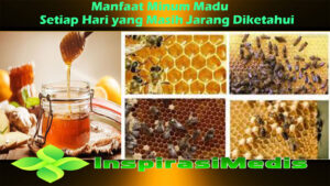Manfaat Minum Madu Setiap Hari yang Masih Jarang Diketahui