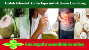 Inilah Khasiat Air Kelapa untuk Asam Lambung