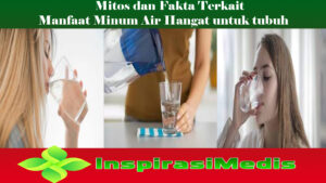 Mitos dan Fakta Terkait Manfaat Minum Air Hangat untuk tubuh