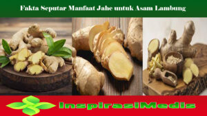 Fakta Seputar Manfaat Jahe untuk Asam Lambung