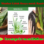 Fakta Seputar Manfaat Jahe untuk Asam Lambung
