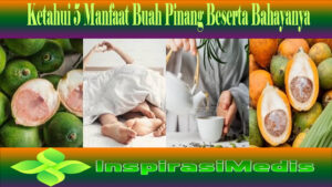 Ketahui 5 Manfaat Buah Pinang Beserta Bahayanya