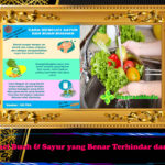 Renang  Dengan Gaya Bebas,Teknik dan Beragam Manfaatnya