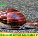 9 Tips Menjaga Kesehatan Vagina saat Menstruasi