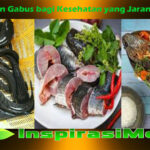Manfaat Bengkoang yang Penting bagi Kesehatan