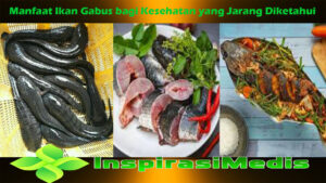 Manfaat Ikan Gabus bagi Kesehatan yang Jarang Diketahui