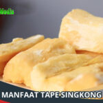 Menu Sarapan Pagi untuk Diet yang Optimal
