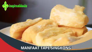 Beberapa Manfaat Tape Singkong untuk Kesehatan
