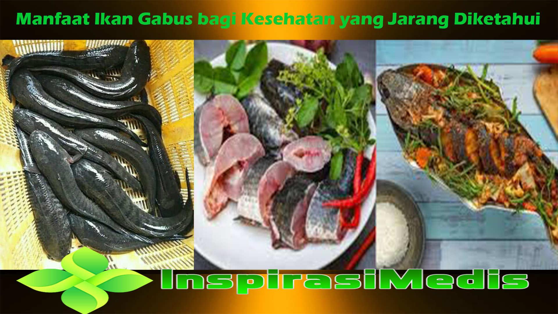 Manfaat Ikan Gabus bagi Kesehatan yang Jarang Diketahui