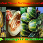 Ketahui Sederet Manfaat Kismis bagi Kesehatan