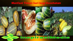 Manfaat Timun Suri bagi Kesehatan