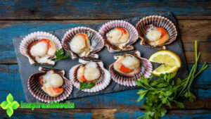 Manfaat Scallop dan Cara Memasaknya