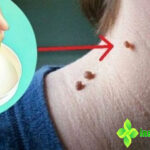 Manfaat Jus Belimbing bagi Kesehatan Tubuh