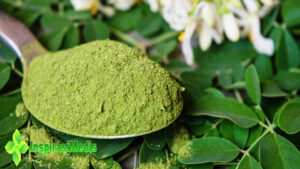Manfaat Daun Kelor bagi Kesehatan