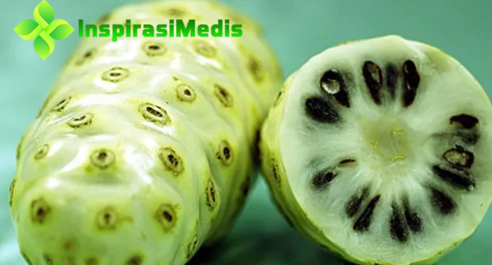 Khasiat Buah Empedu - Buah empedu (atau dikenal juga dengan nama ilmiah Phyllanthus niruri ) merupakan tanaman obat yang sering ditemukan di kawasan tropis,